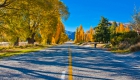 -road-south-of-te-anau-new-zealand-south-island