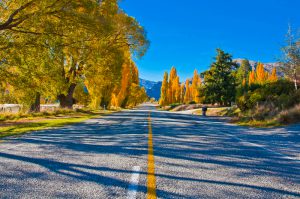 -road-south-of-te-anau-new-zealand-south-island