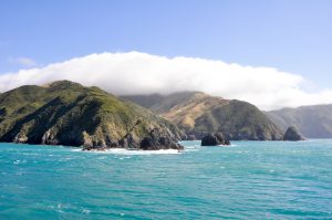 cook-strait-from-the-ferry-leaving-to-north-island-new-zealand