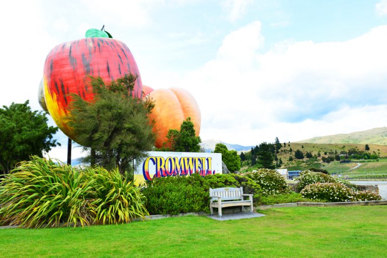 cromwellnewzealand Unique Holiday Tours