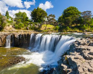 haruru-falls-at-paihia-northland-north-island-of-new-zealand