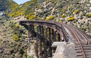 railway-track-of-taieri-gorge-tourist-railway-crosses-a-steel-trestle-bridge-across-a-ravine-on-its-journey-up-the-valley