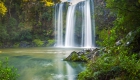 the-whangarei-falls-northland-new-zealand