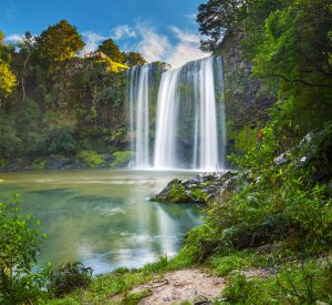 the-whangarei-falls-northland-new-zealand
