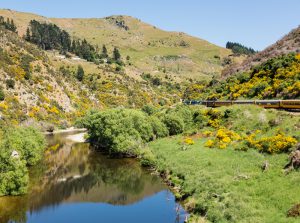taieri-gorge-tourist-railway