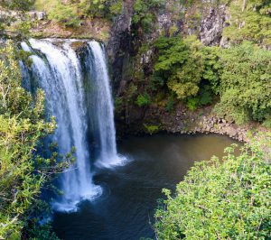 North Island Tours whangarei-falls--new-zealand